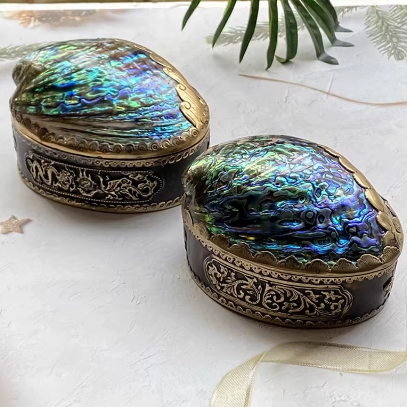 Boîte de rangement en coquille d'ormeau naturel